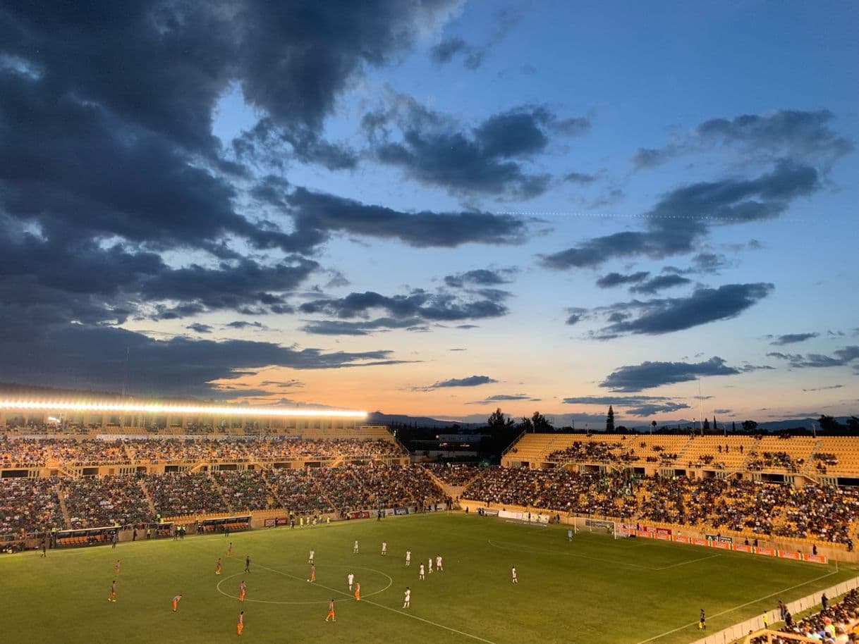 Place Estadio Tecnológico de Oaxaca