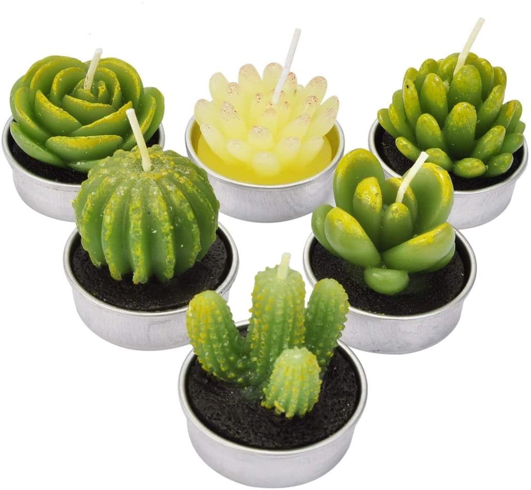 Producto velitas de cactus 🌵 