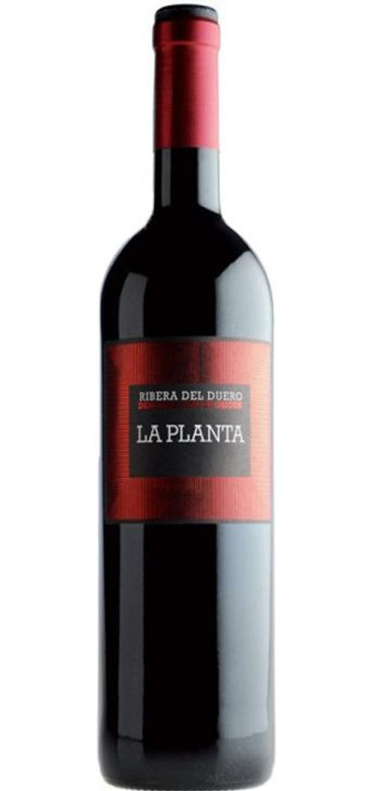 Moda Vino tinto La Planta de Arzuaga - Vinopremier