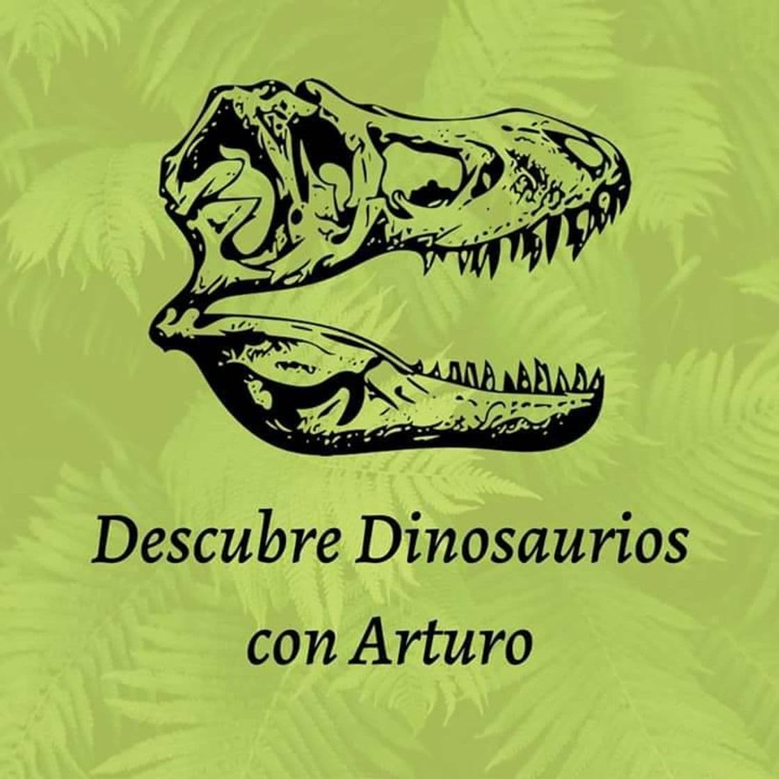 Fashion Descubre Dinosaurios con Arturo - Home | Facebook