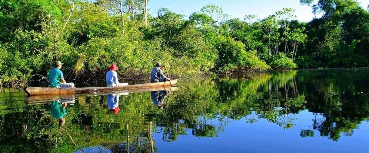 Lugar Pacaya-Samiria National Reserve