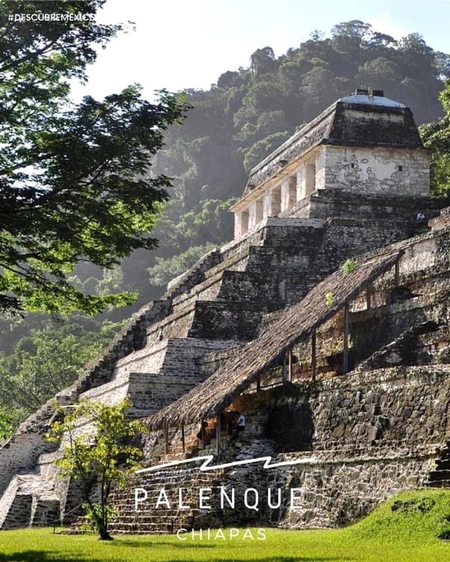 Lugar Palenque