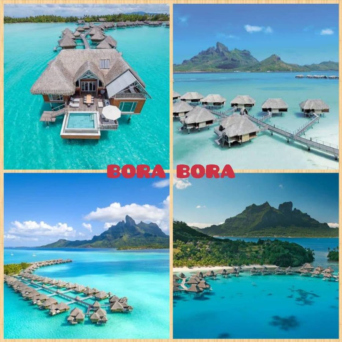 Moda BORA BORA