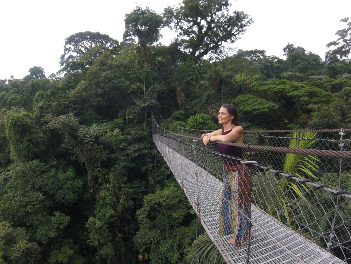 Place Mistico Arenal Hanging Bridges Park