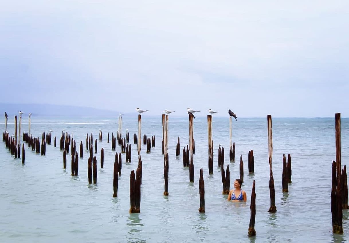 Place Cahuita National Park