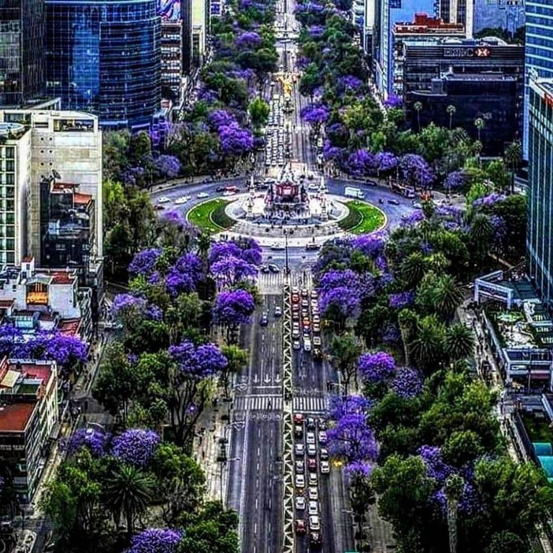 Place Avenida Paseo de la Reforma