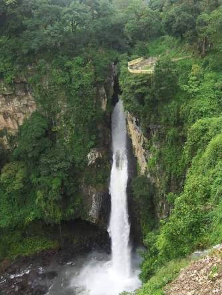 Lugar Cascada de Texolo