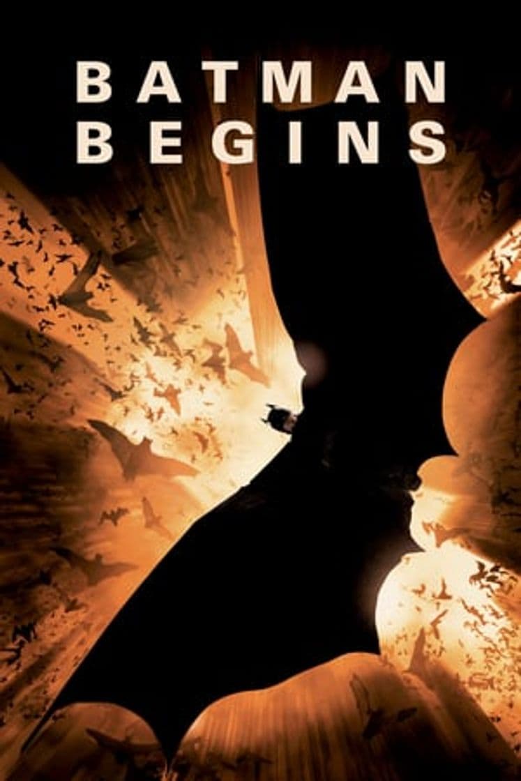 Película Batman Begins