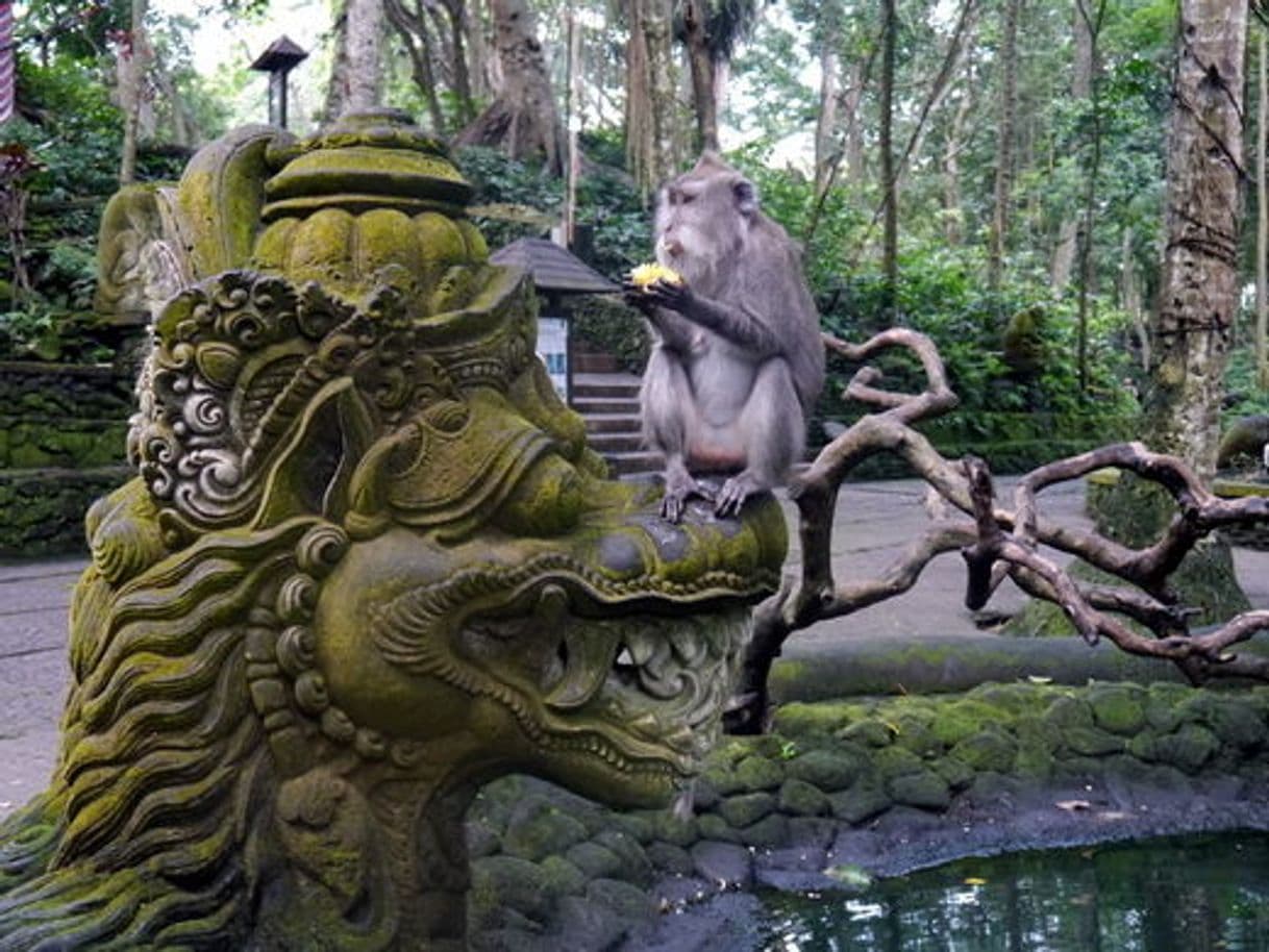 Place Sacred Monkey Forest Sanctuary