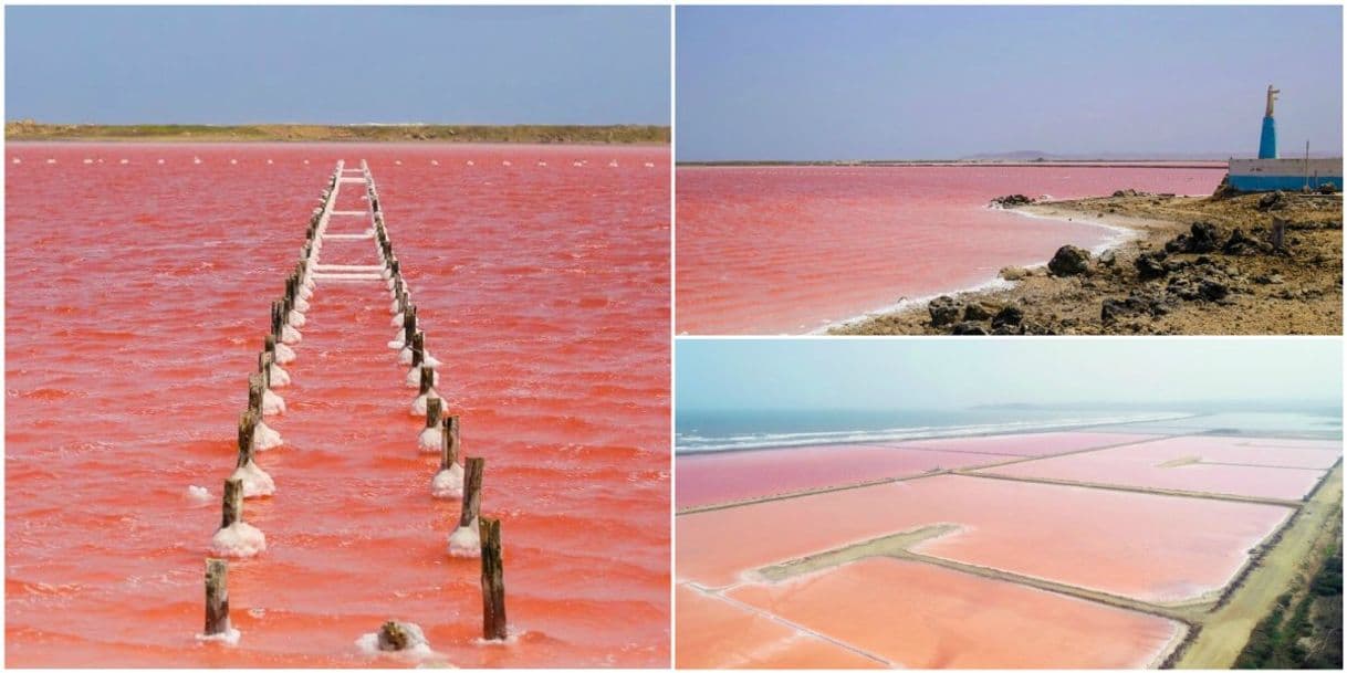 Lugar Mar Rojo Galerazamba