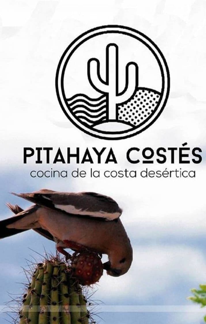 Restaurantes Pitaya Costés