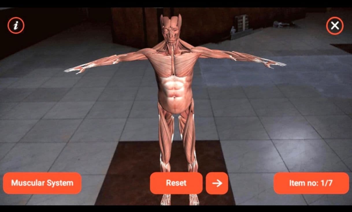 App 	
AR Human Organs