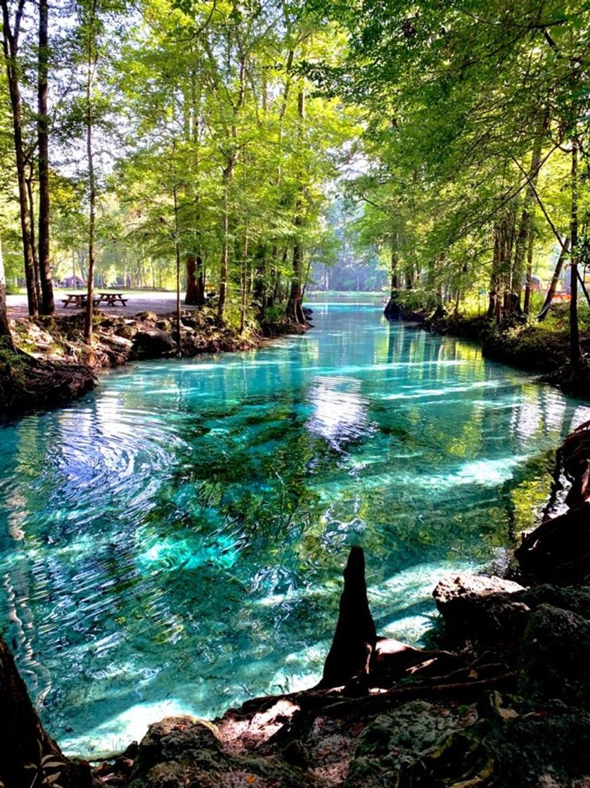 Lugar Ginnie Springs