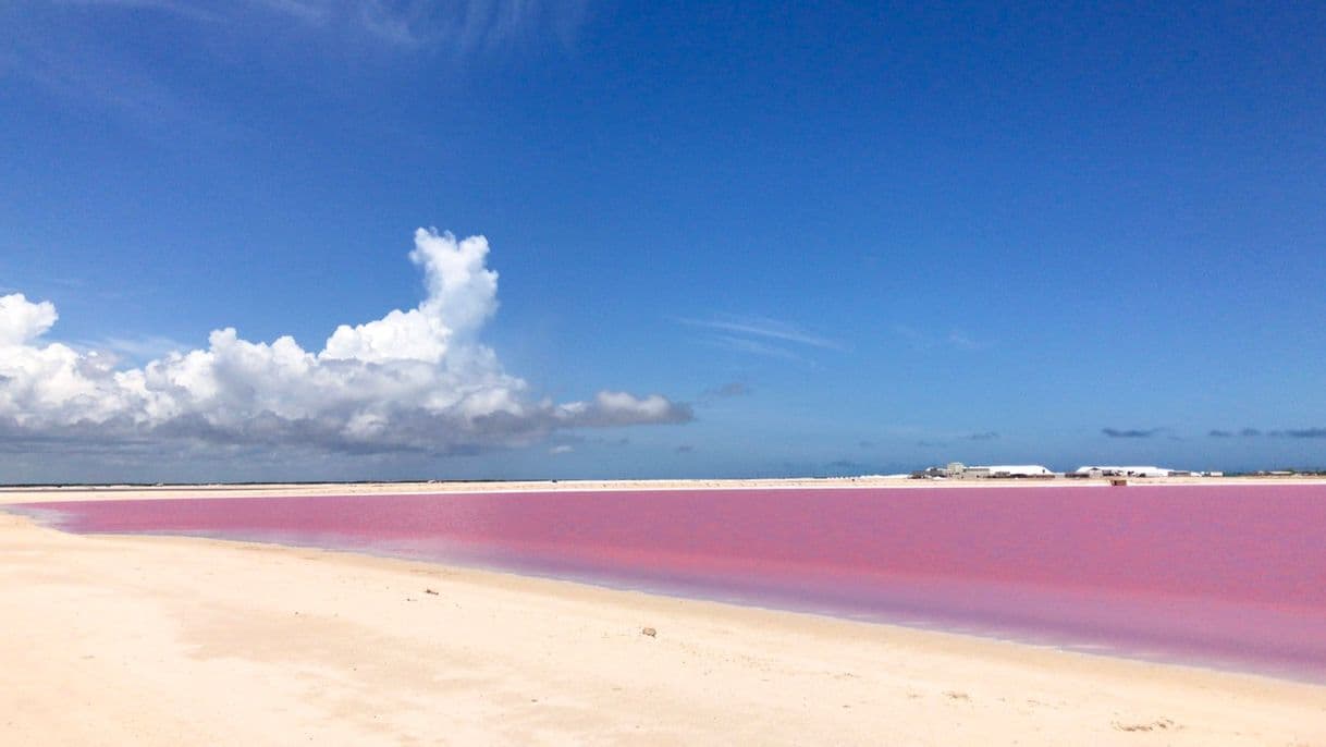 Place Las Coloradas Yucatan