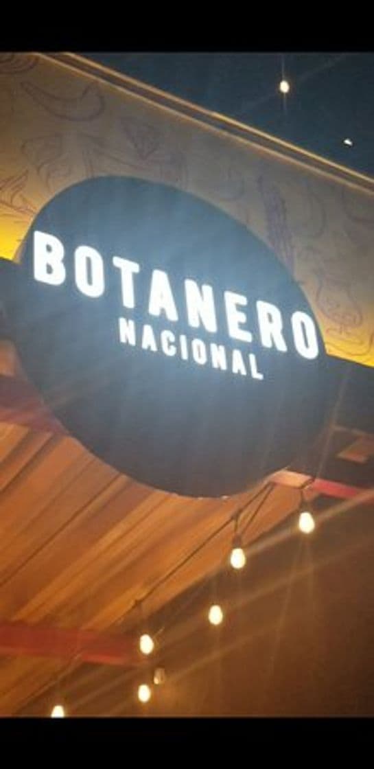 Restaurants Botanero nacional