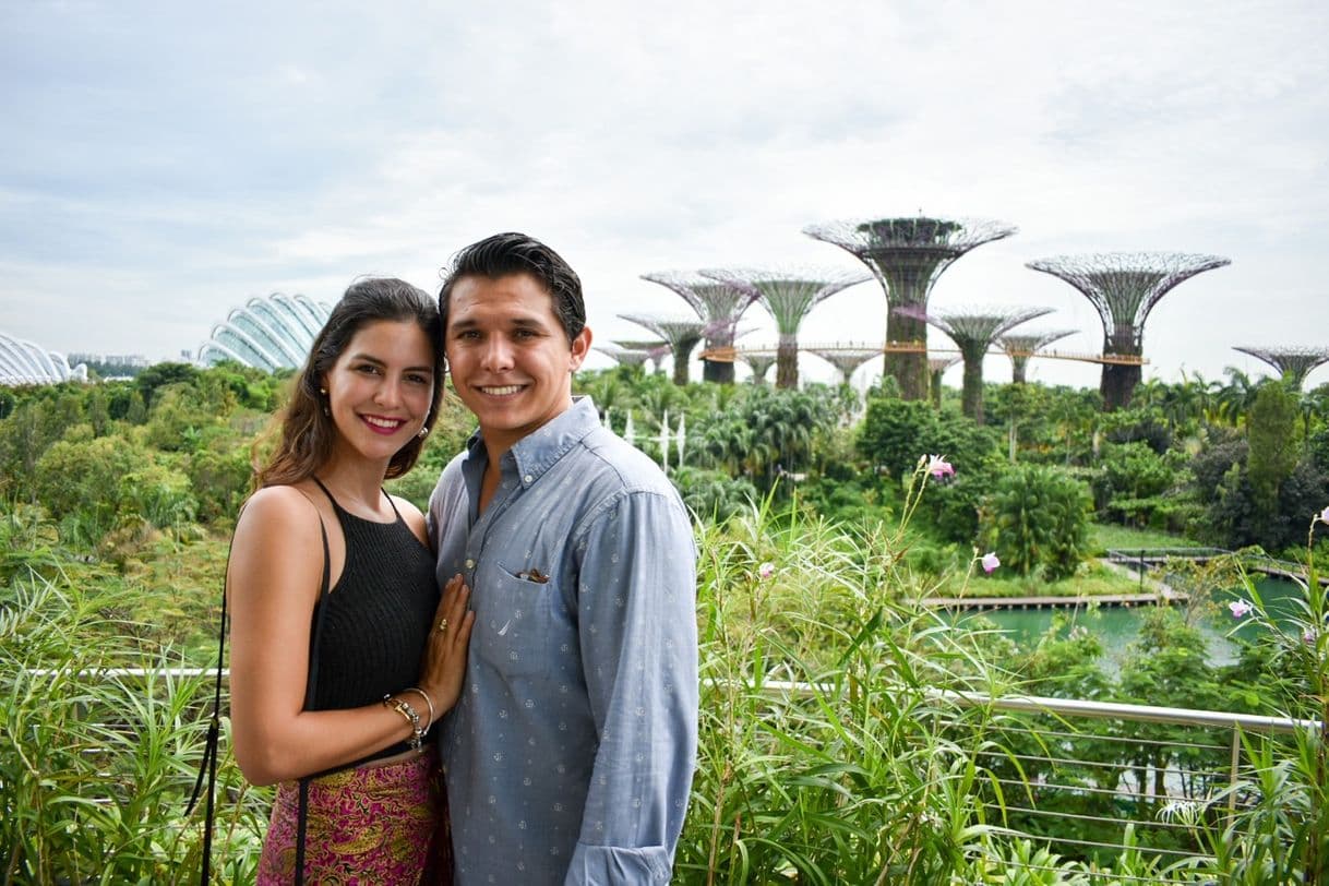 Place Gardens by the Bay