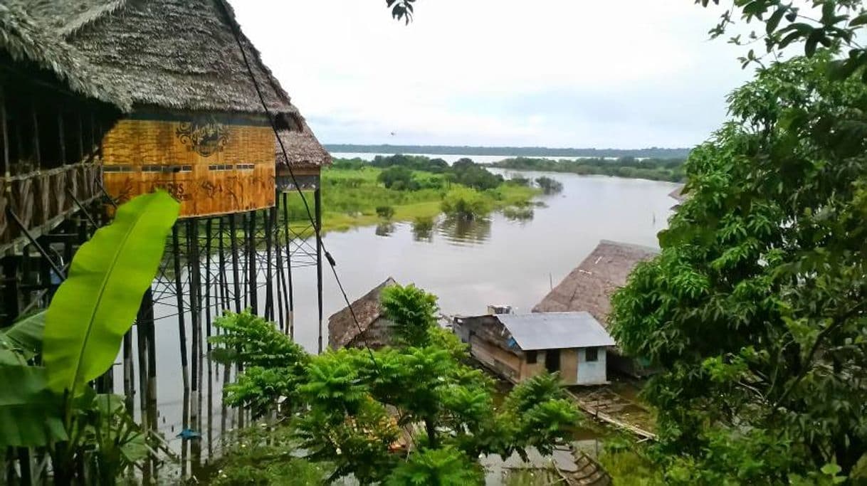 Lugar Iquitos