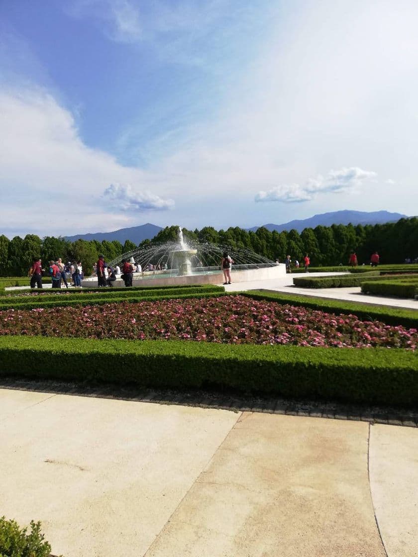 Place Jardines de México