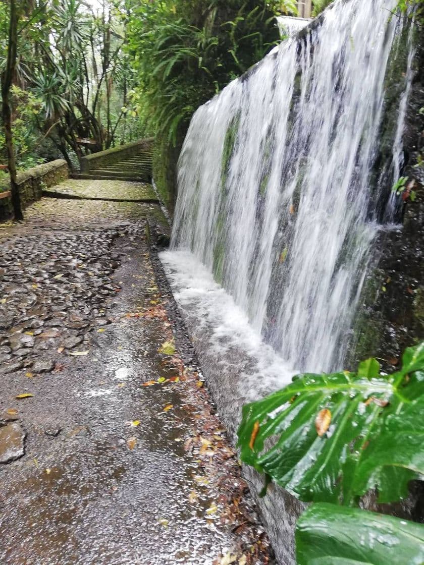 Place Parque Nacional de Uruapan