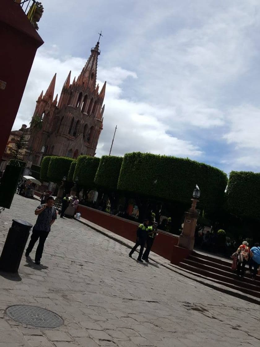 Place San Miguel de Allende