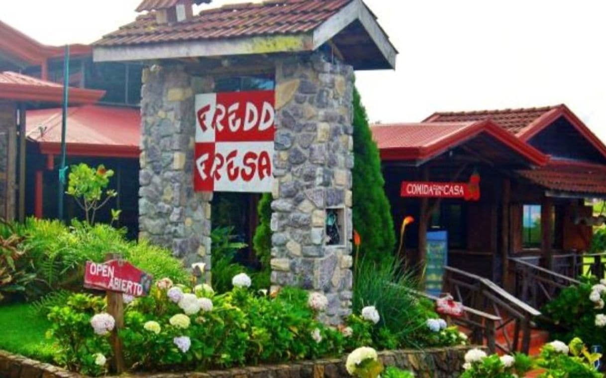 Restaurants Restaurante Freddo Fresas