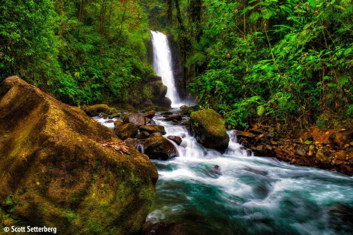 Place Waterfall Gardens