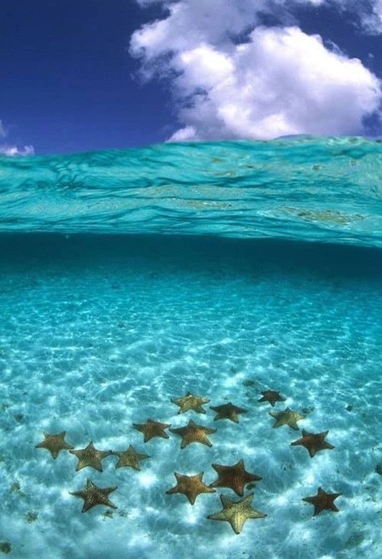 Lugar Playa "El Cielo"