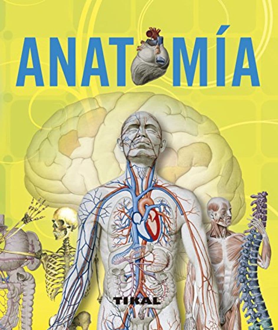 Book Anatomía