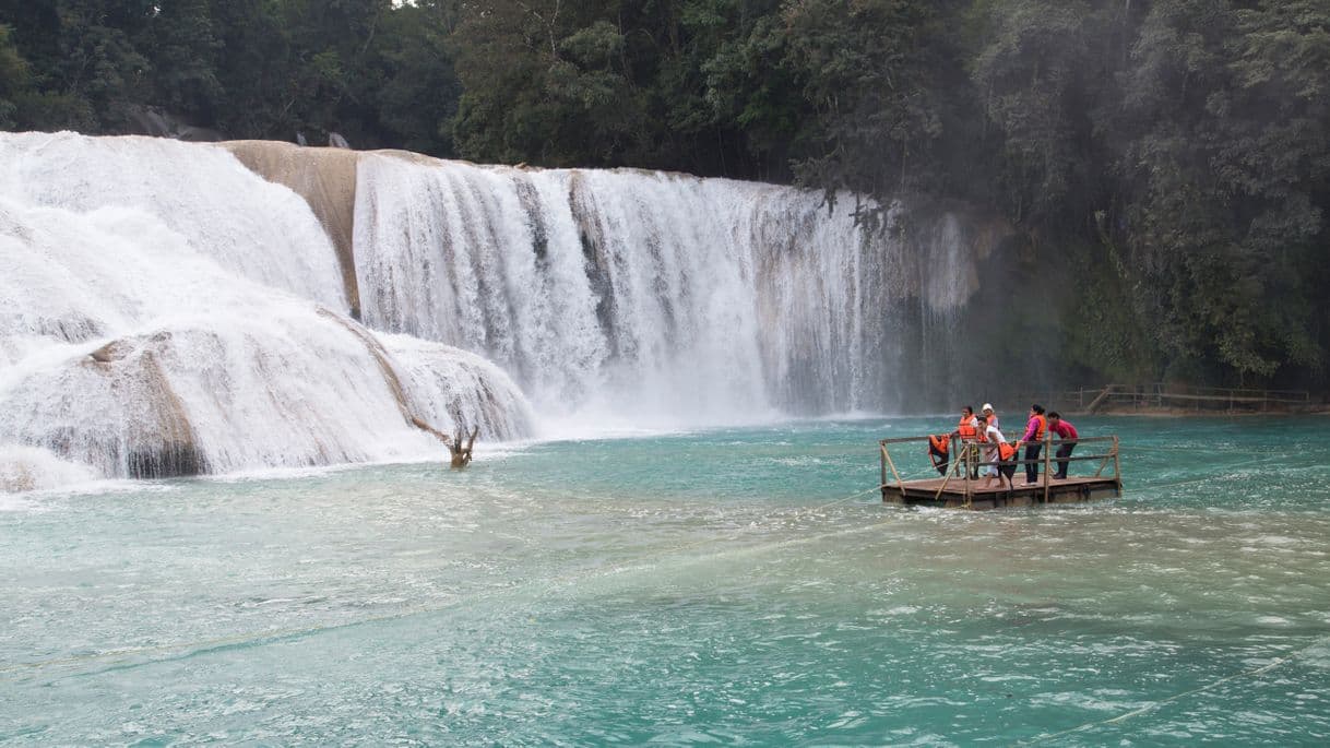 Lugar Cascadas de Agua Azul