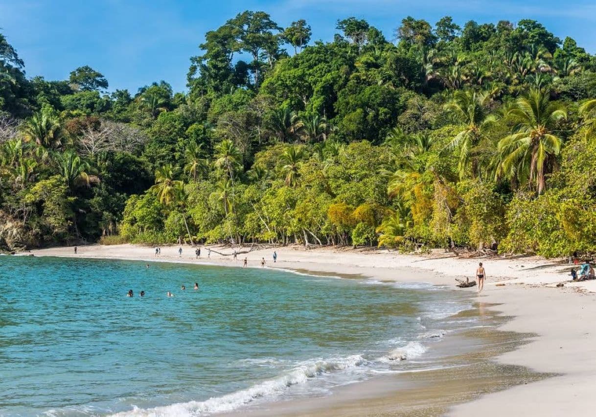 Lugar Manuel Antonio