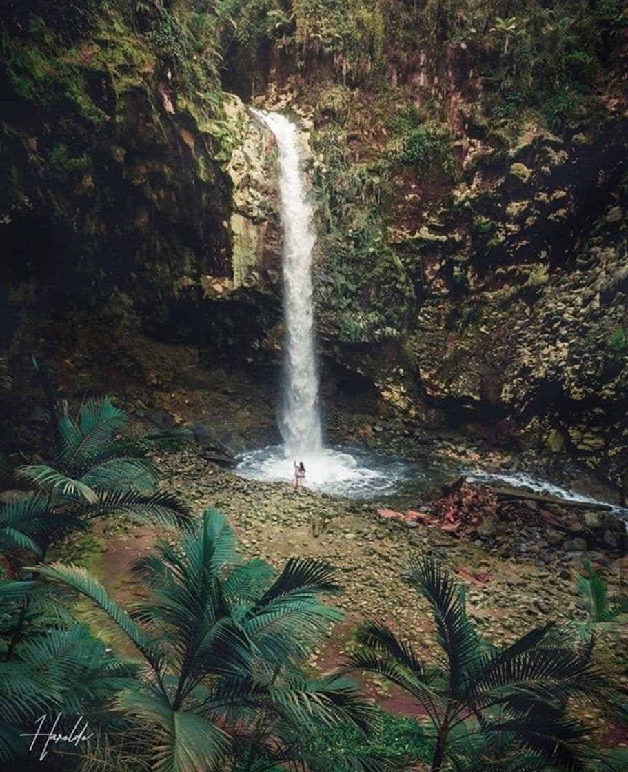 Lugar Catarata Río Agrio