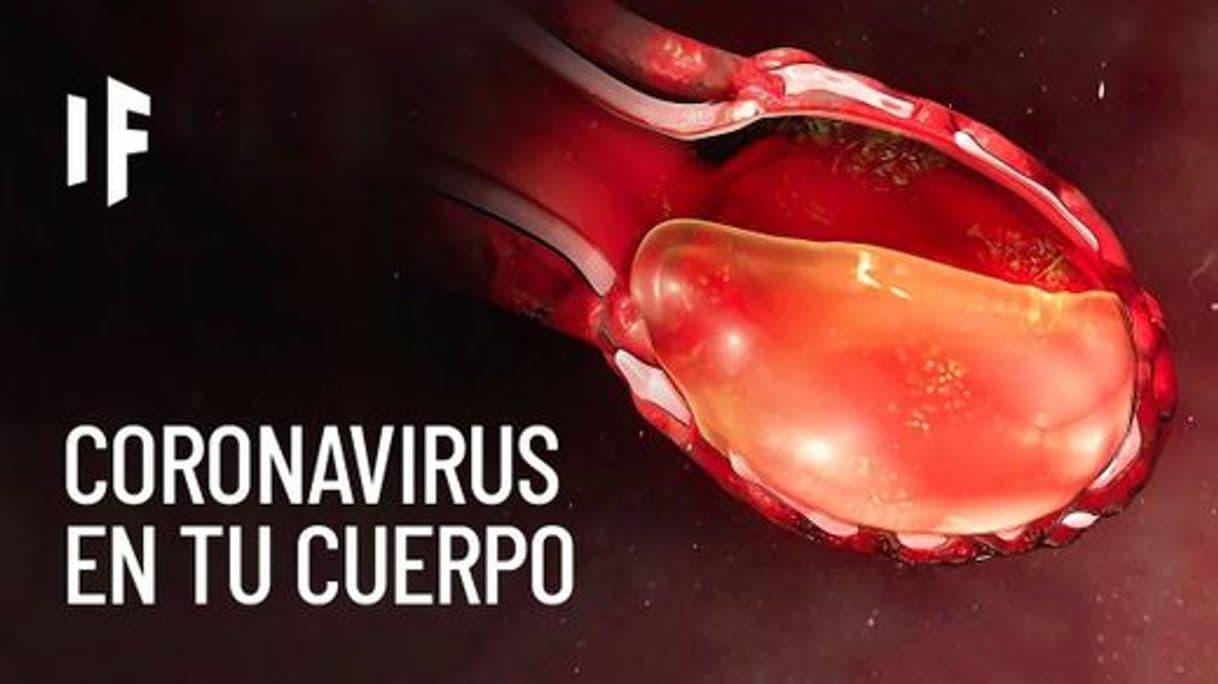 Fashion ¿Qué le pasa a tu cuerpo si te contagias de coronavirus? 