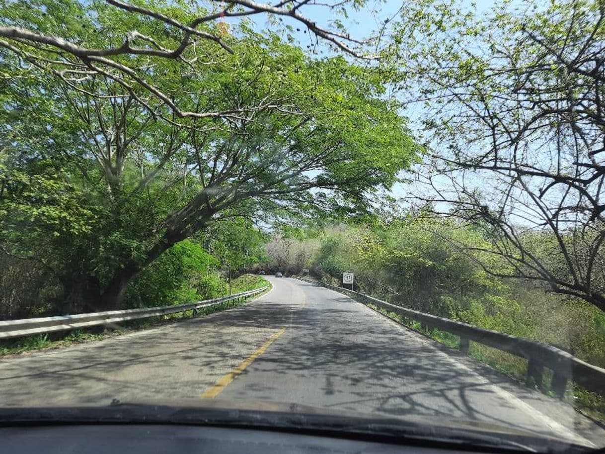 Lugar Sayulita