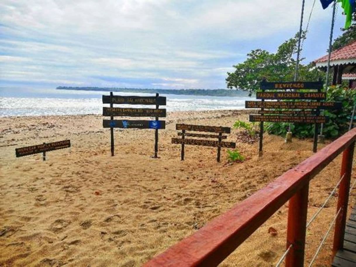 Place Parque nacional Cahuita