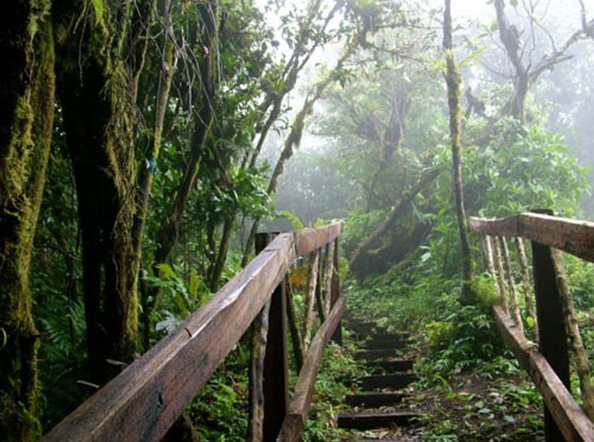 Lugar Reserva Natural Volcán Mombacho