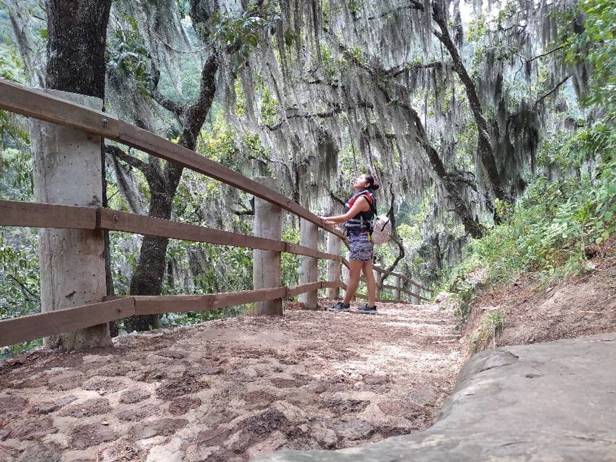 Lugar Cascadas Tuliman