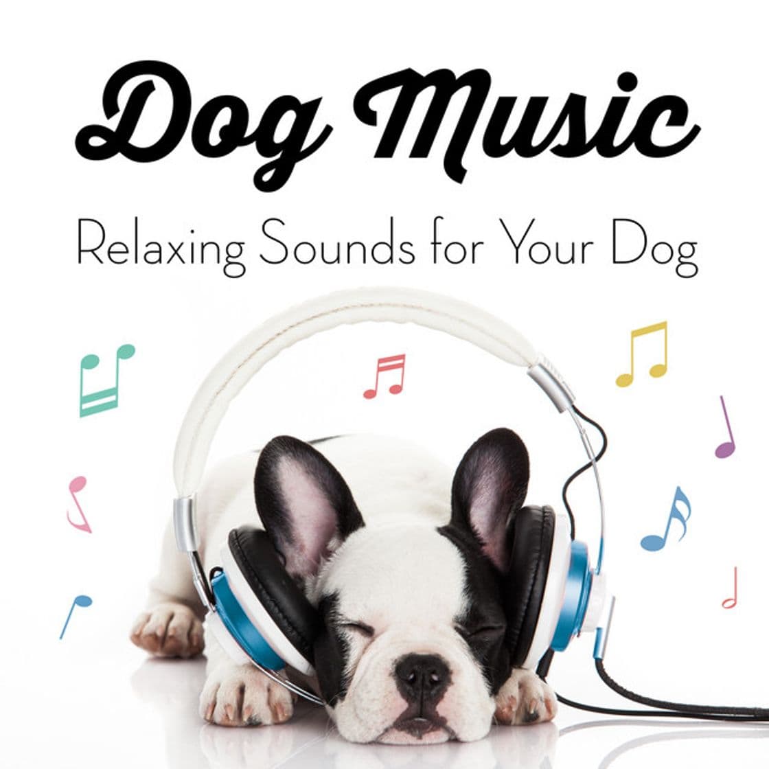 Canción Instrumental Music for Dogs