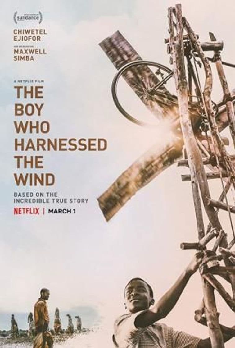 Película The Boy Who Harnessed the Wind