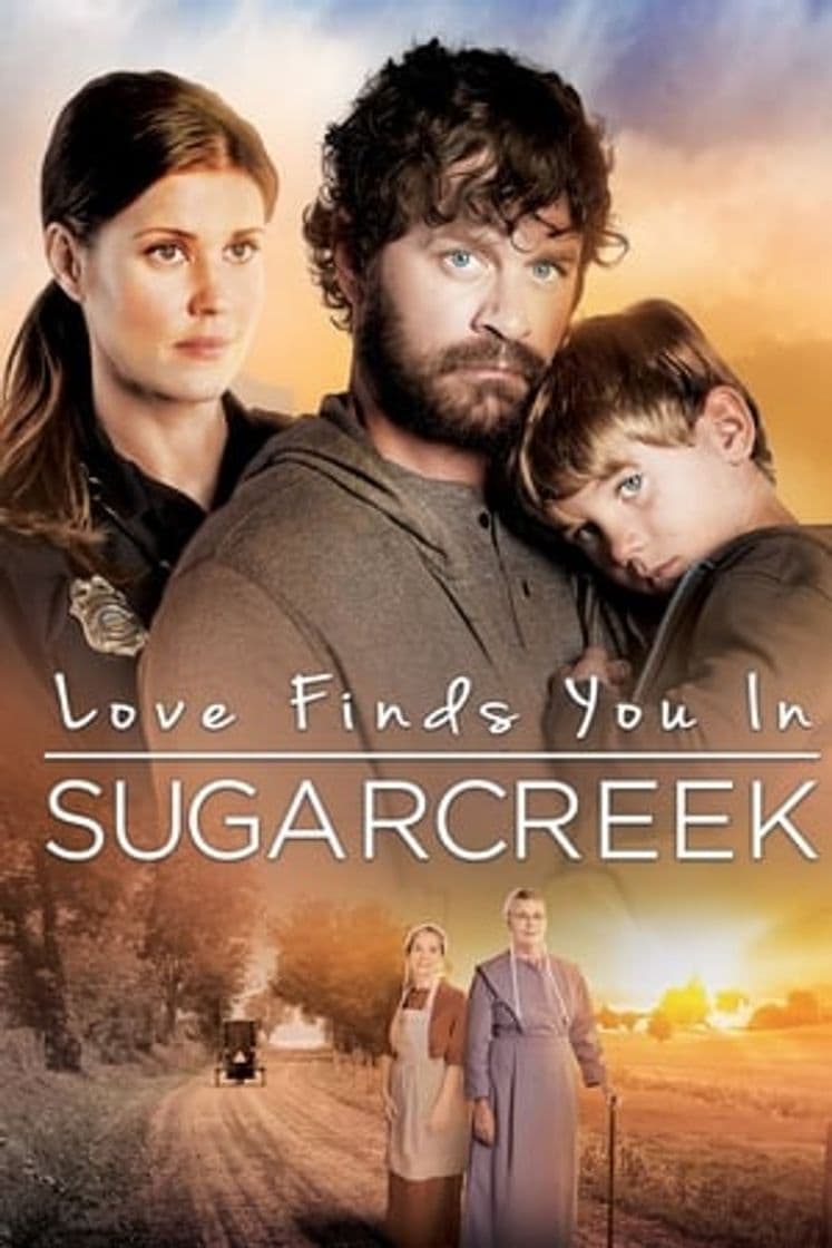 Película Love Finds You In Sugarcreek