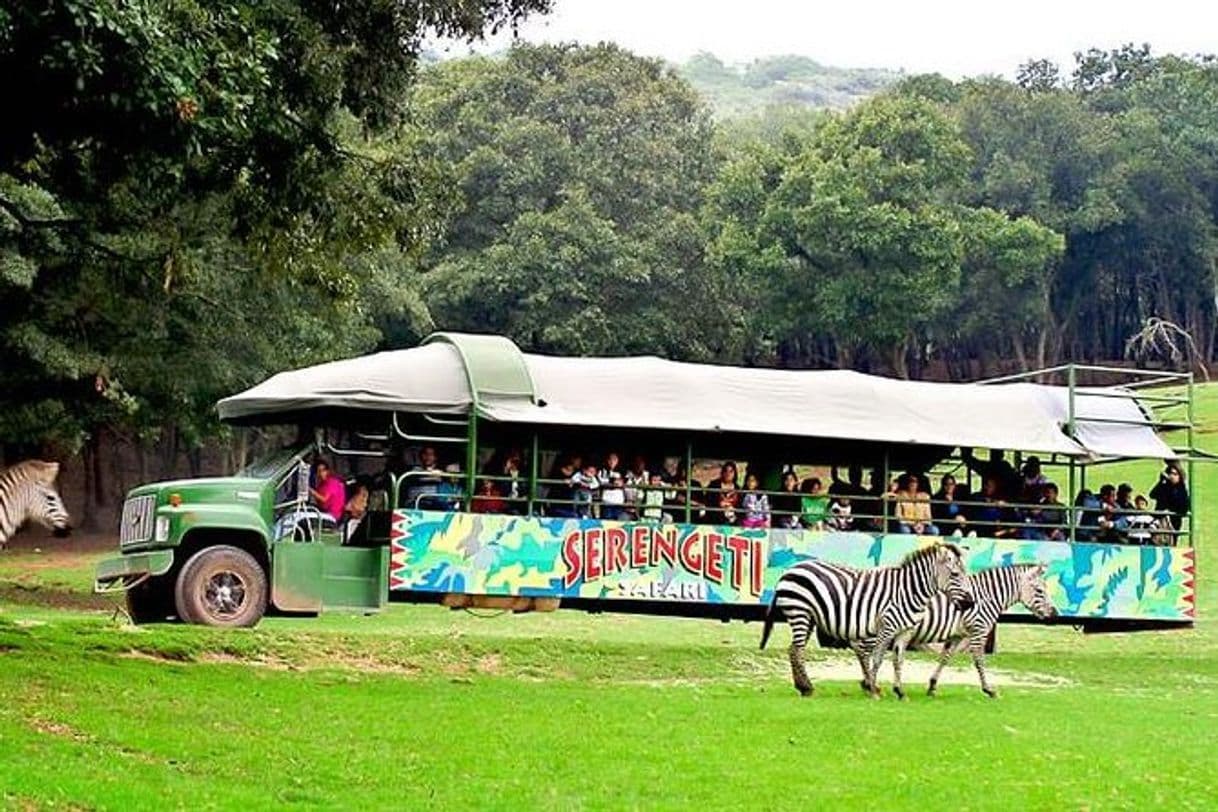 Restaurants Bioparque Estrella