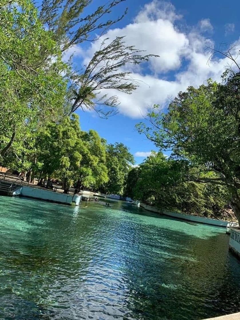 Lugar Ojo De Agua - Tlacotepec