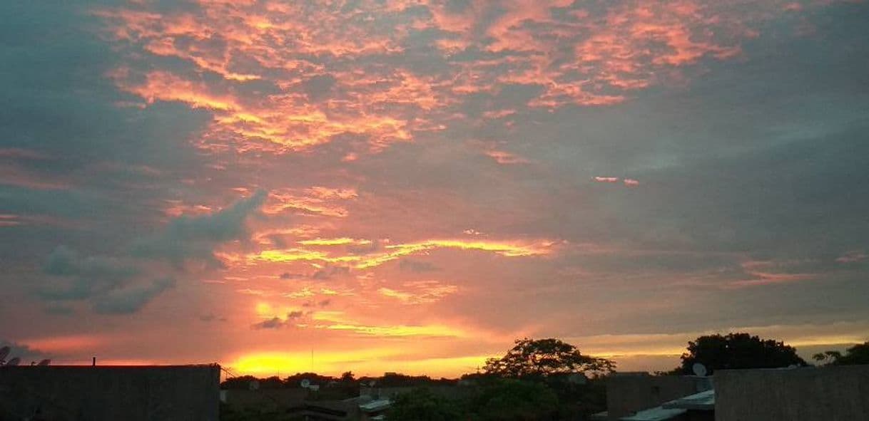 Book Atardecer: Voces del pasado