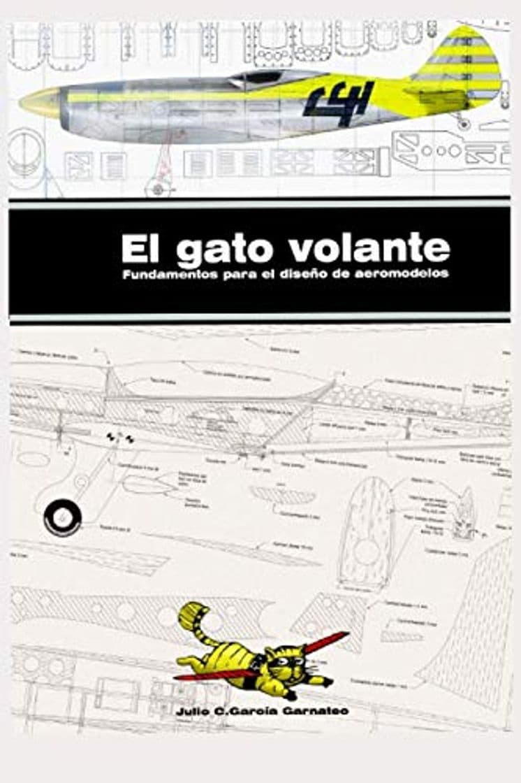 Book El gato volante