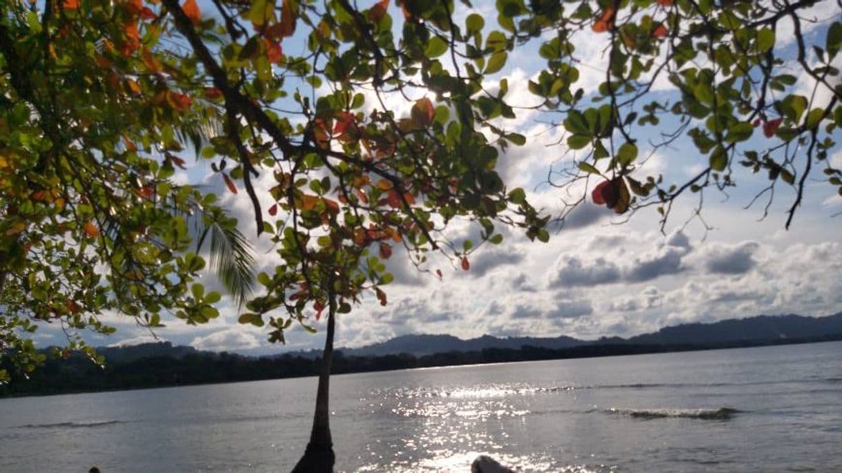 Place Puerto Viejo de Limón