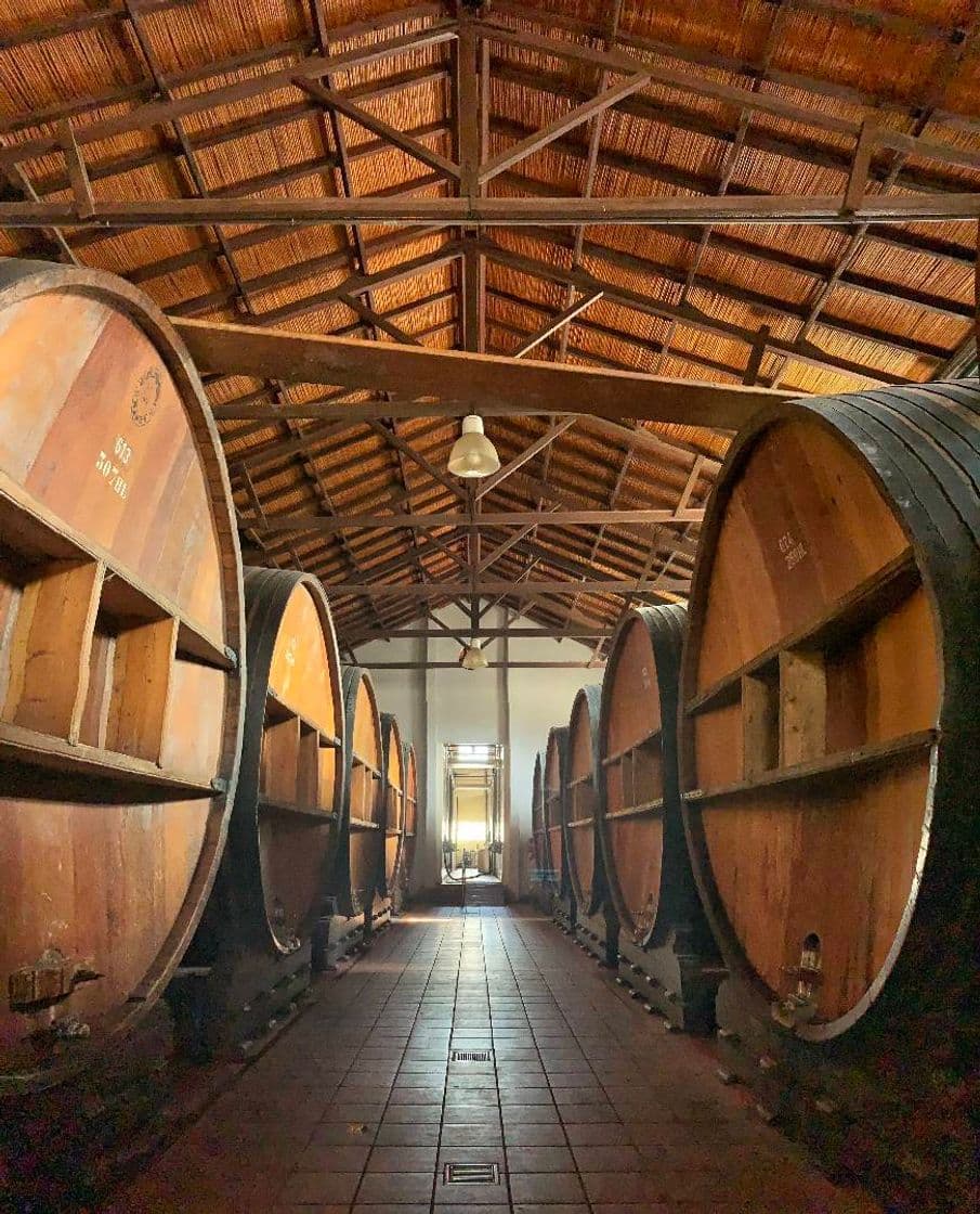 Place Bodegas López Mendoza