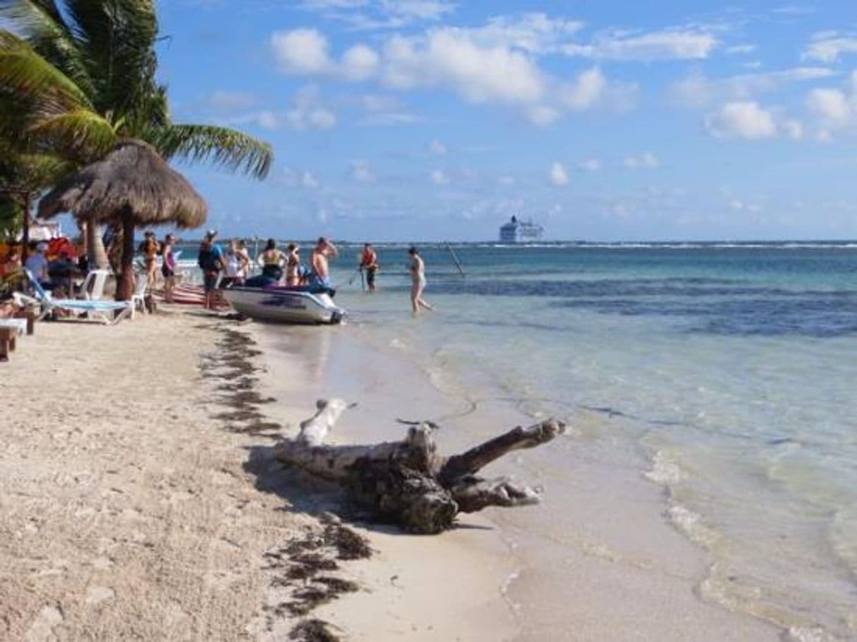 Place Mahahual Beach