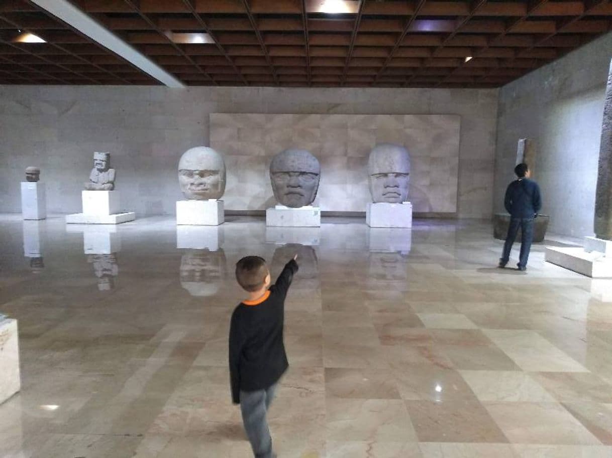 Place Museo de Antropología de Xalapa