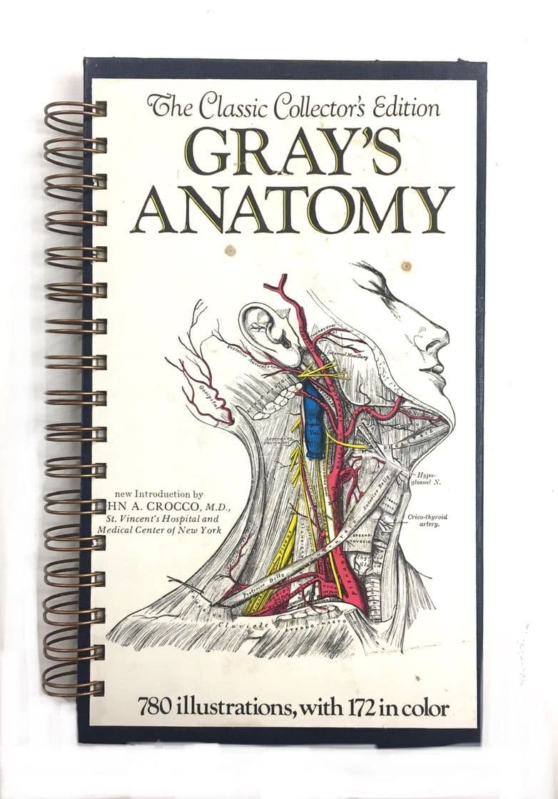 Movie Gray's Anatomy