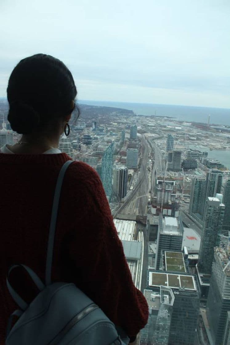 Place CN tower