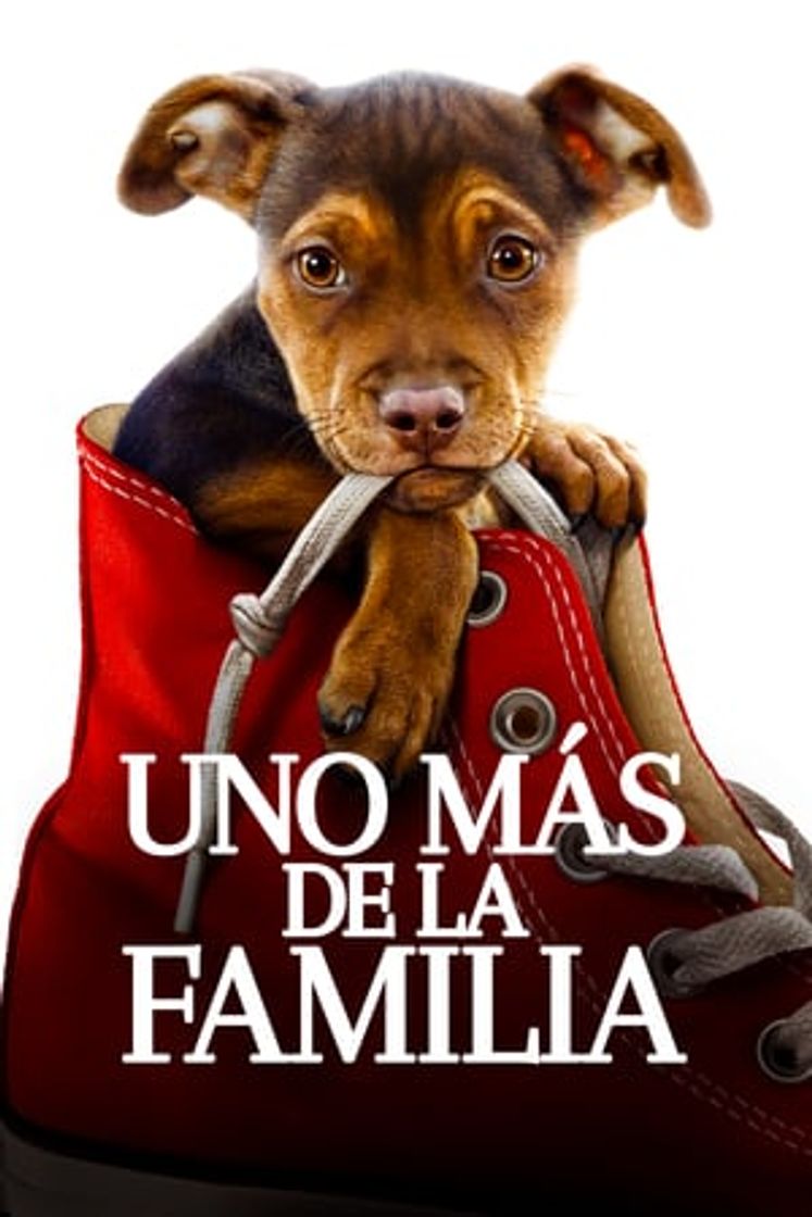 Película A Dog's Way Home